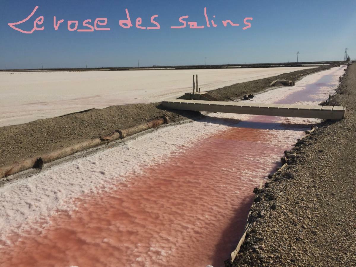 Maebrilu Camargue Provence Acomodação com café da manhã Salin-de-Giraud Exterior foto